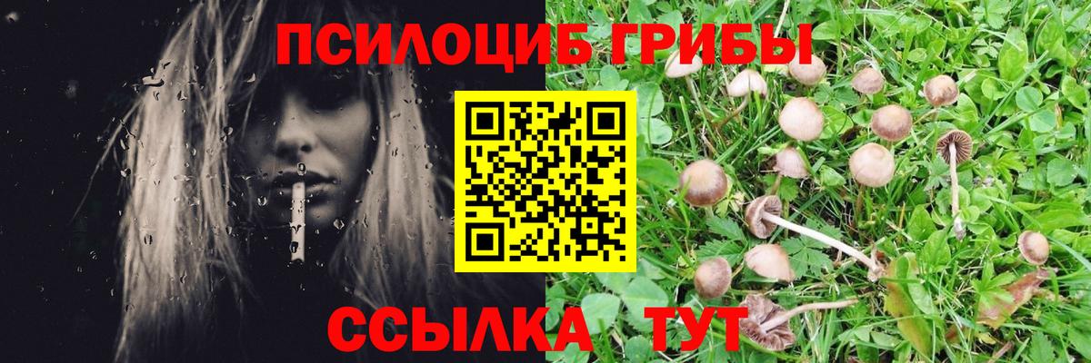 Холмск  Псилоцибиновые грибы мухоморы  Вход с VPN 